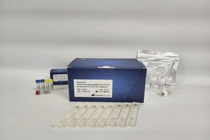 kit de test pour génotypage