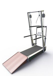 tapis roulant avec main courante