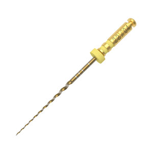 lime endodontique rotative