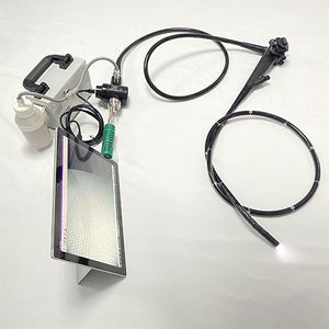 gastroscope vétérinaire vidéo