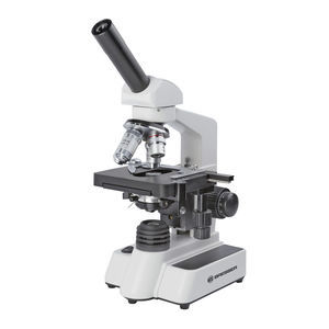 microscope optique