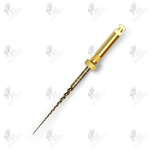 lime endodontique rotative