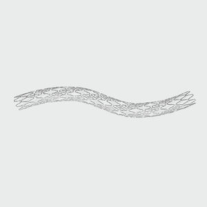 stent coronarien