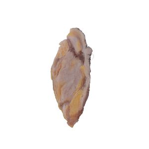 modèle anatomique de sein