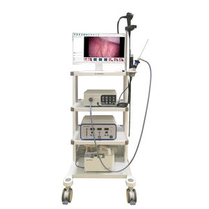 laparoscope vétérinaire vidéo