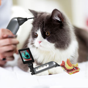 otoscope vétérinaire vidéo