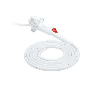 gastroscope vétérinaire vidéo