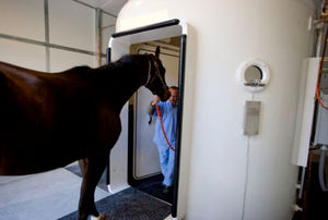 caisson hyperbare vétérinaire pour cheval