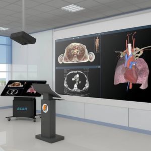 plateformes de réalité virtuelle semi-immersive