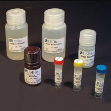 kit d'analyse de phosphatase alcaline