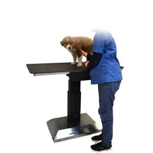 table d'examen vétérinaire