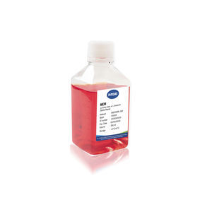 réactif glutamine