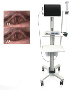 bronchoscope vidéo à usage unique