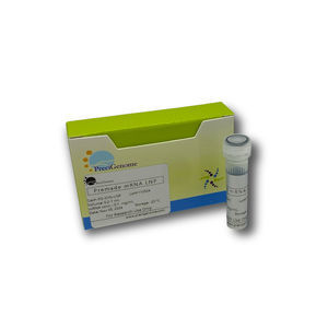 réactif nanoparticules lipidiques