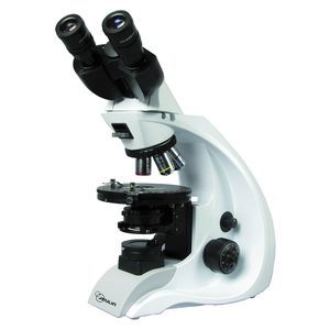 microscope optique