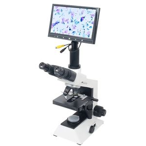 microscope optique