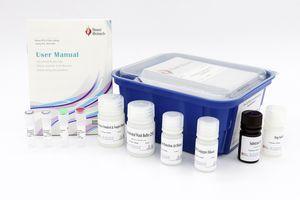 réactif solution stabilisante