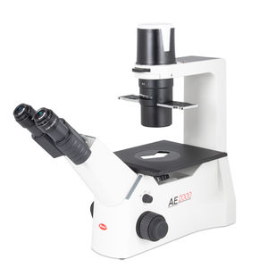 microscope optique