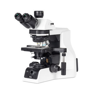 microscope numérique