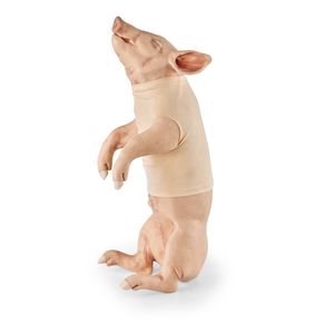 simulateur de ponction veineuse