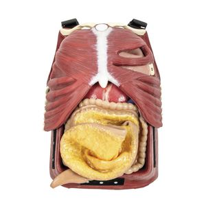 costume de simulation pour gestion des voies aériennes