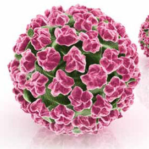 kit de test pour maladies infectieuses