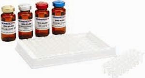 kit de test d'acide glutamique décarboxylase
