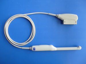 sonde d'échographie microconvexe / transvaginale