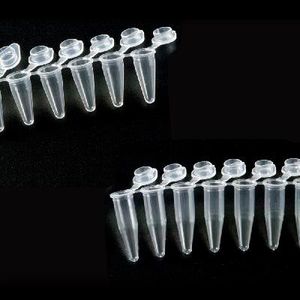 tube à essai pour PCR