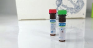 réactif colorant