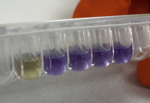test rapide de susceptibilité antimicrobienne