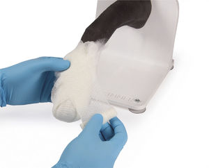 simulateur pour soins vétérinaires