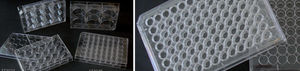 microplaque de culture cellulaire