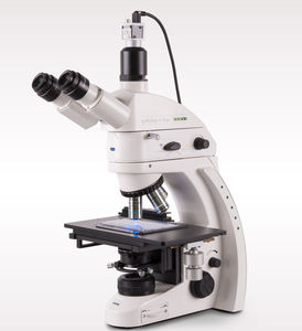 microscope par immunofluorescence