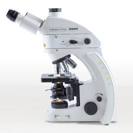 microscope par immunofluorescence