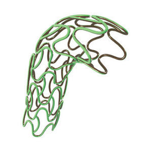 stent coronarien