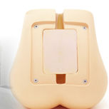 fantôme de test pour fluoroscopie / torse / rachis