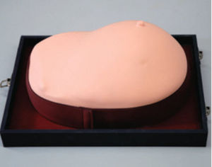 simulateur pour soins généraux