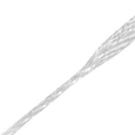 prothèse ligamentaire tendon calcanéen