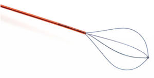 panier endoscopique sans pointe