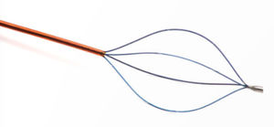 panier endoscopique pour extraction de calculs rénaux