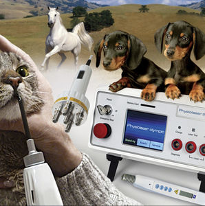 laser pour acupuncture vétérinaire
