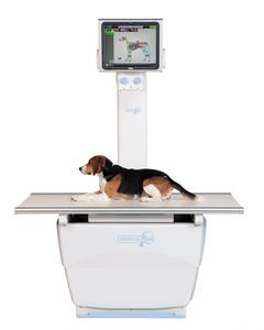 système de radiographie vétérinaire / numérique