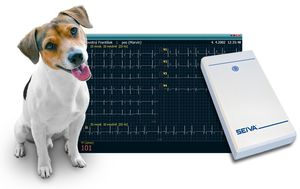 système ECG vétérinaire 12 canaux