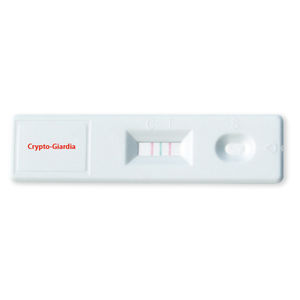 test rapide de giardiase