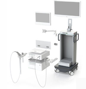 chariot endoscopique