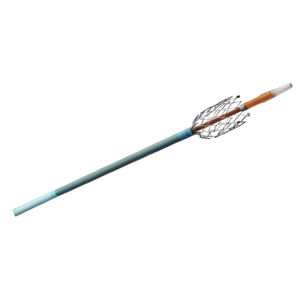 stent périphérique / artère fémorale / auto-expansible