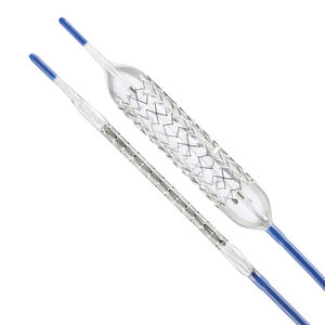 stent biliaire