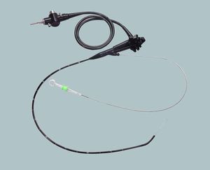 gastroscope vétérinaire vidéo