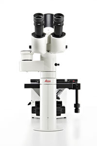 microscope optique